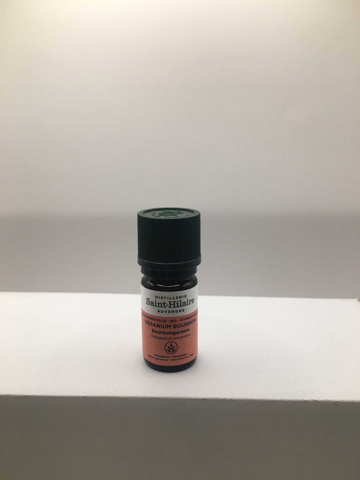 Géranium bourbon (Pelargonium graveolens bourbon)