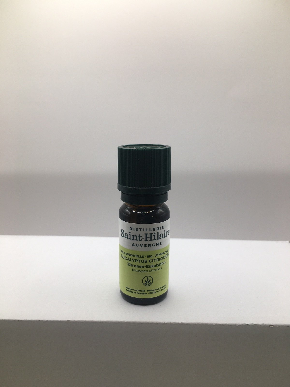 Eucalyptus citronné (eucalyptus citriodor