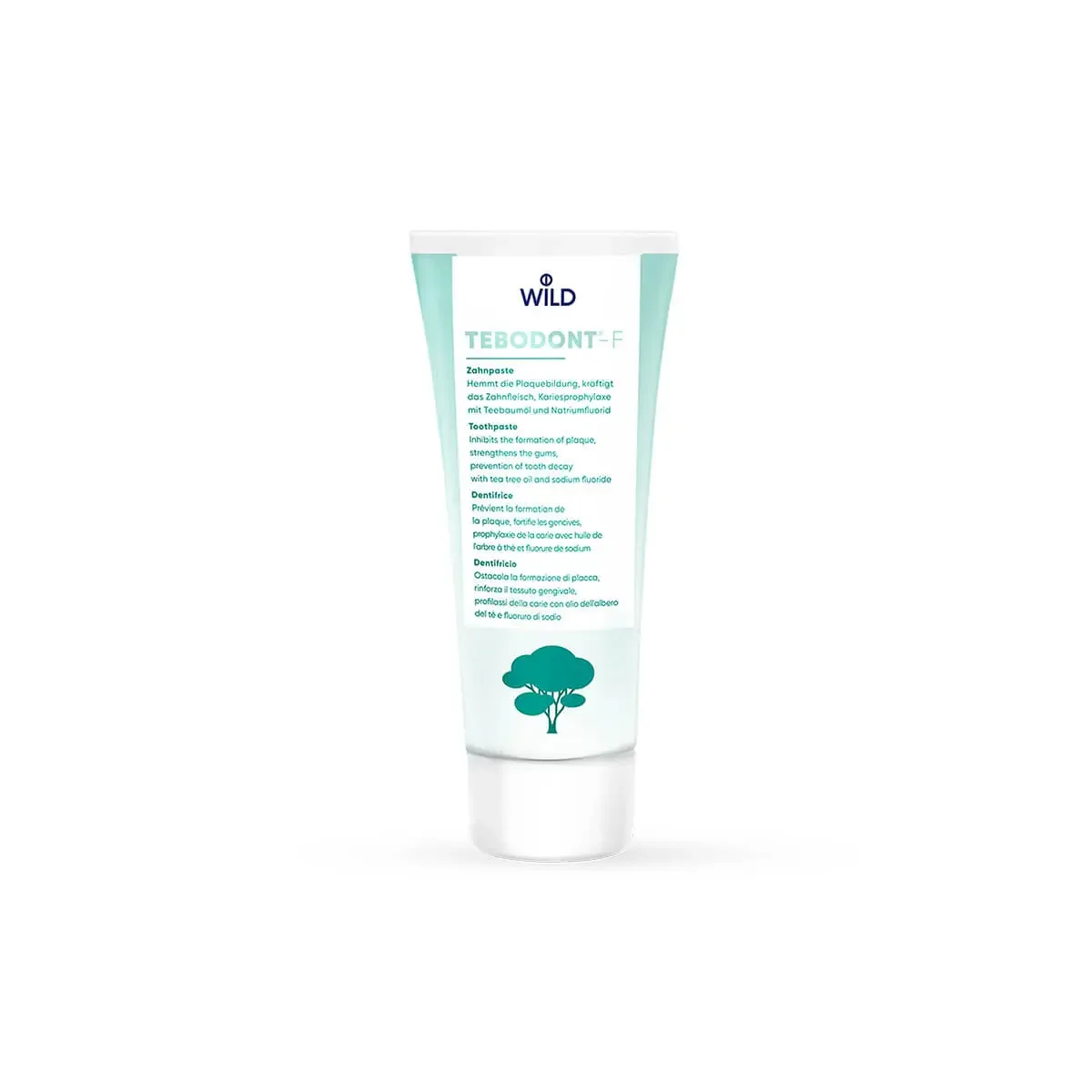 TEBODONT DENTIFRICE AVEC FLUOR